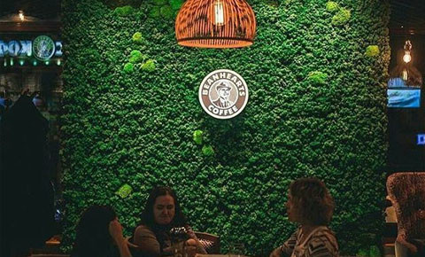 Обложка проекта: Фитостена