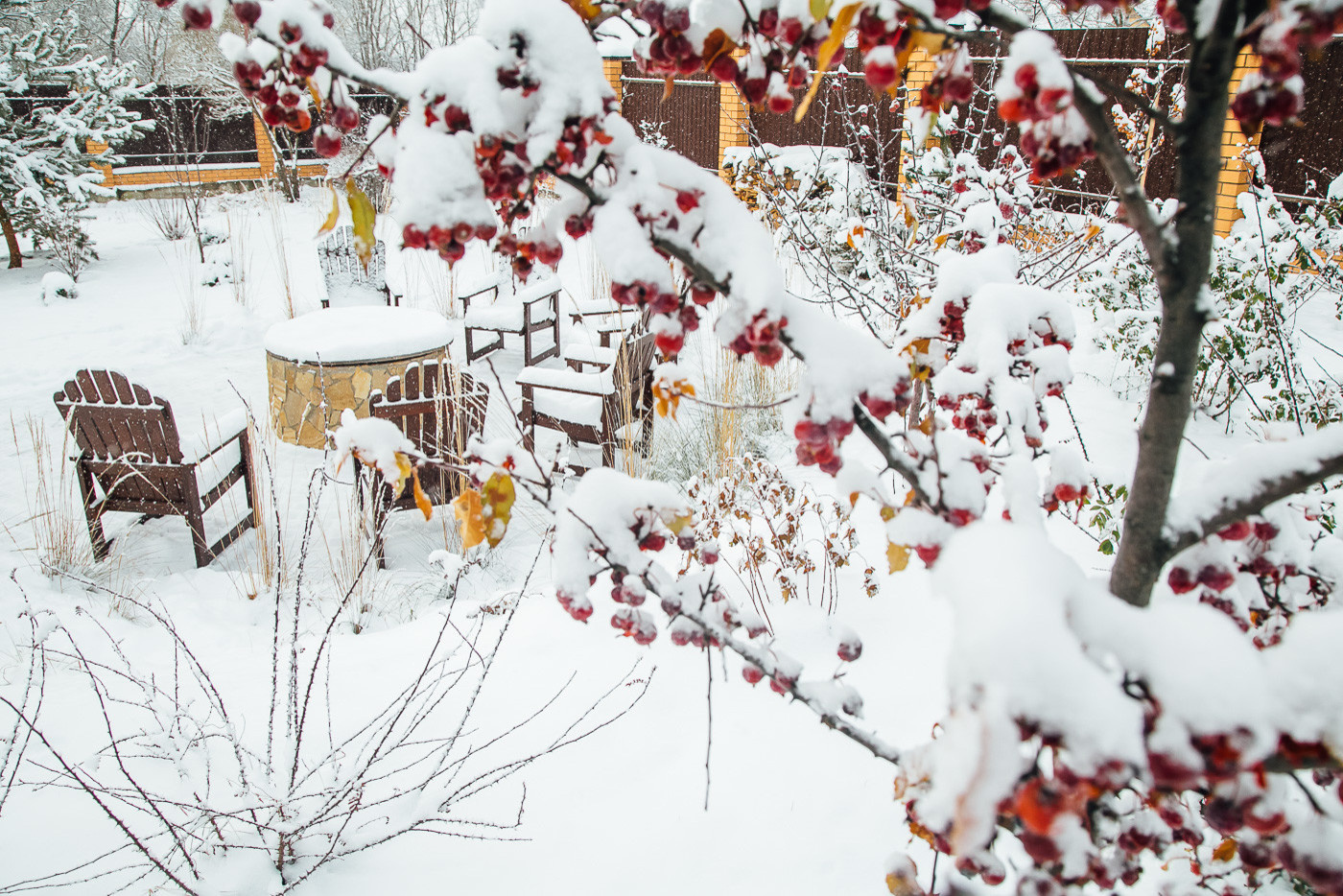 Зимний сад. Ощущение праздника!