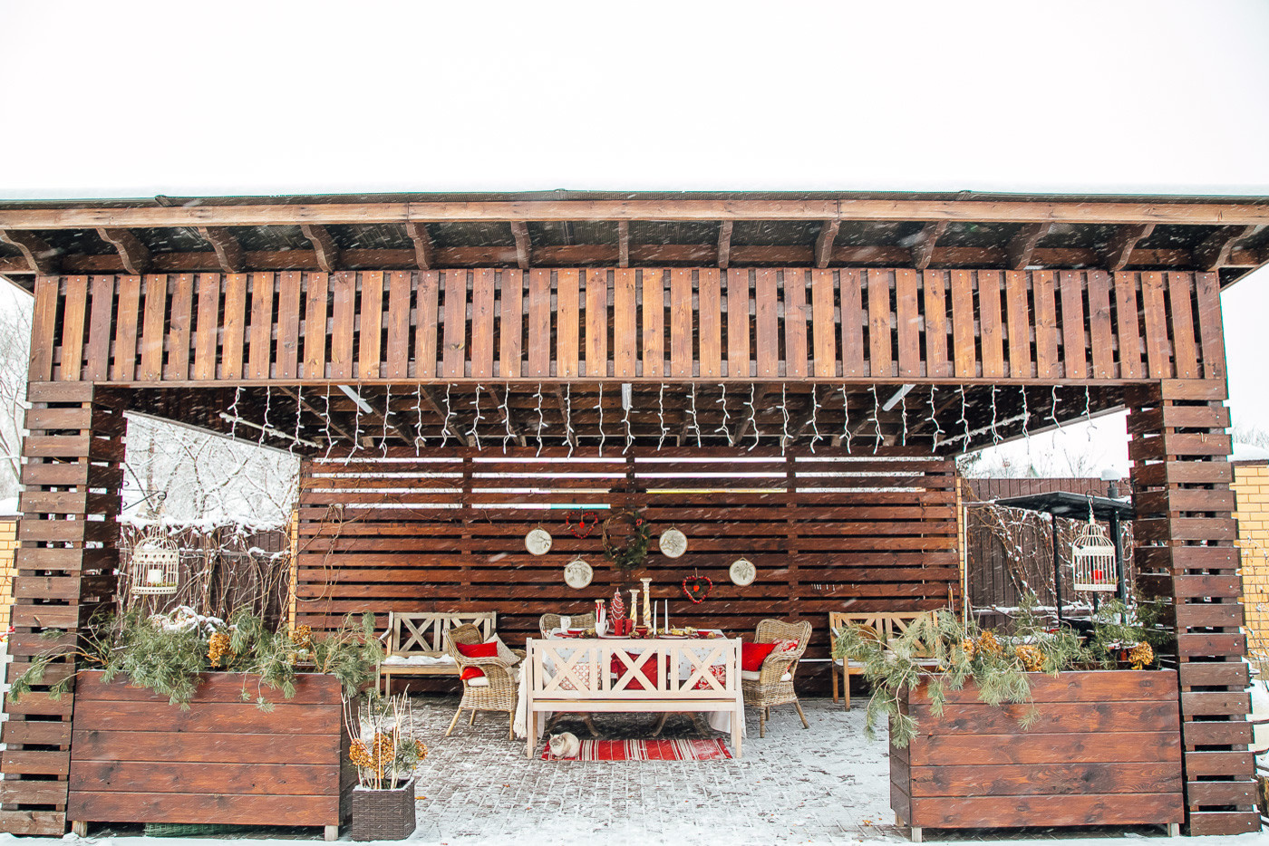 Зимний сад. Ощущение праздника!