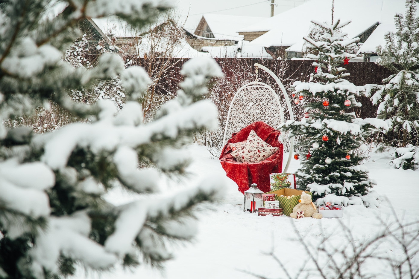 Зимний сад. Ощущение праздника!