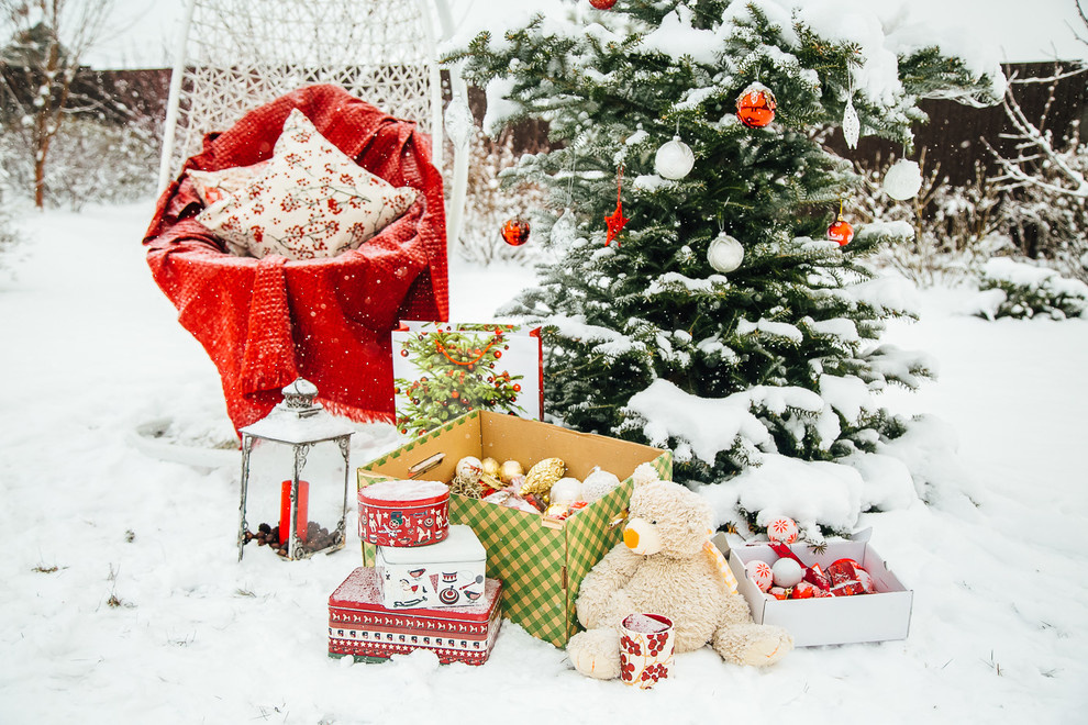 Зимний сад. Ощущение праздника!