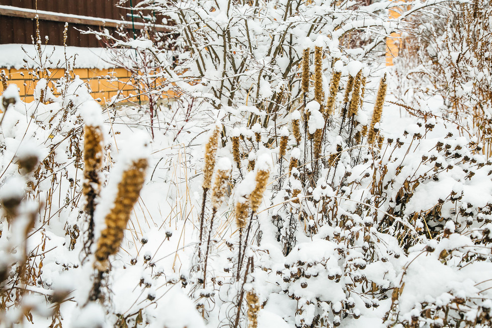Зимний сад. Ощущение праздника!