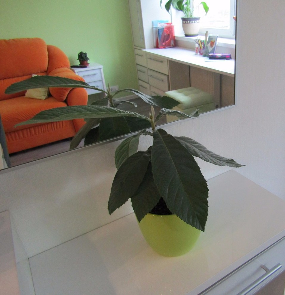 Комната для девочки 20 м.кв.