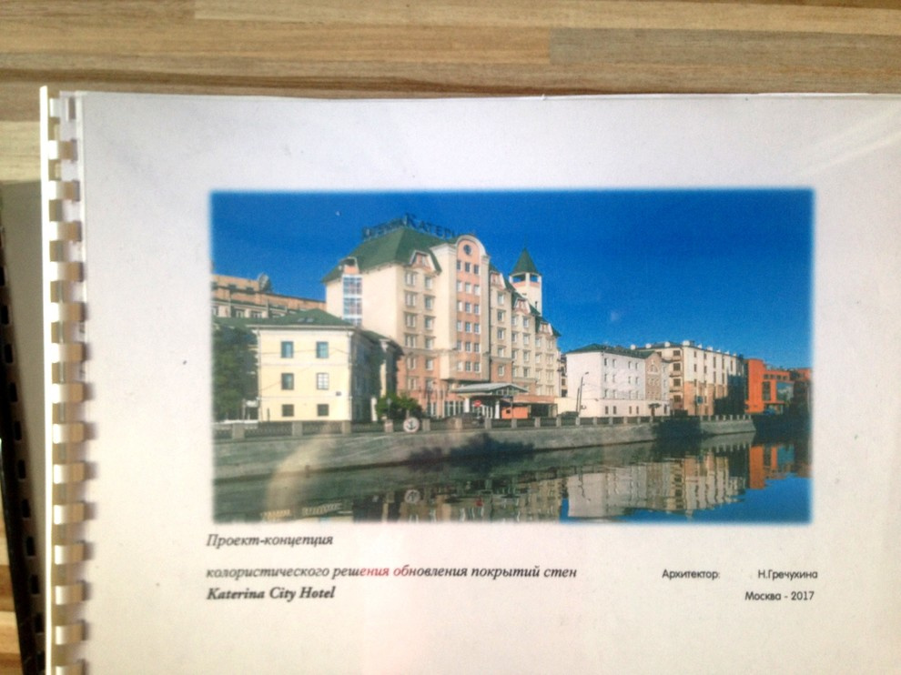 Обложка проекта: Колористическая концепция номерного фонда гостиницы "Катерина Сити"