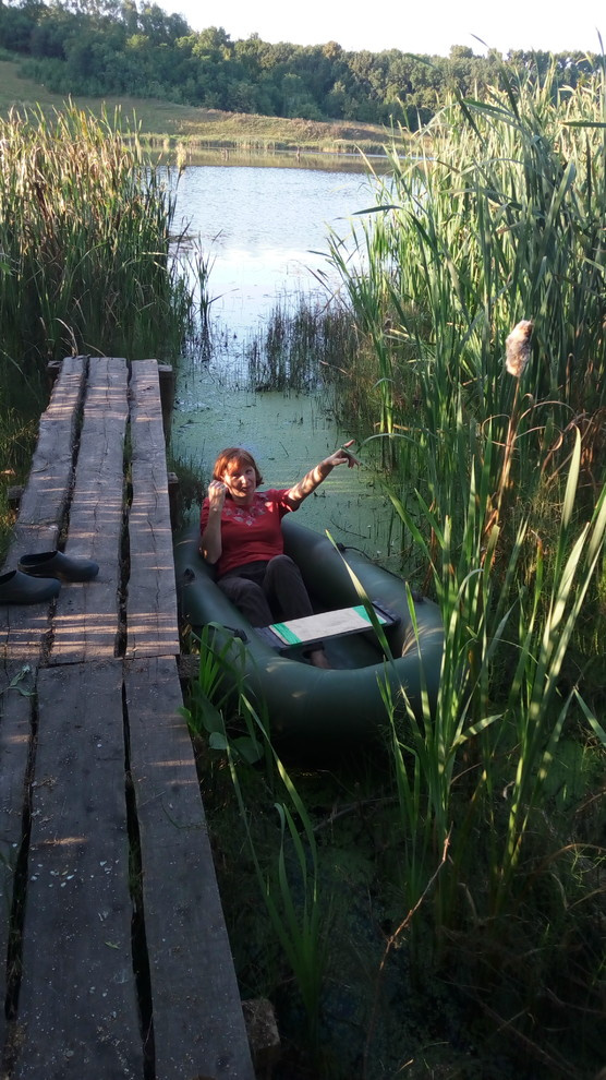 Строительство дома у пруда с лебедями