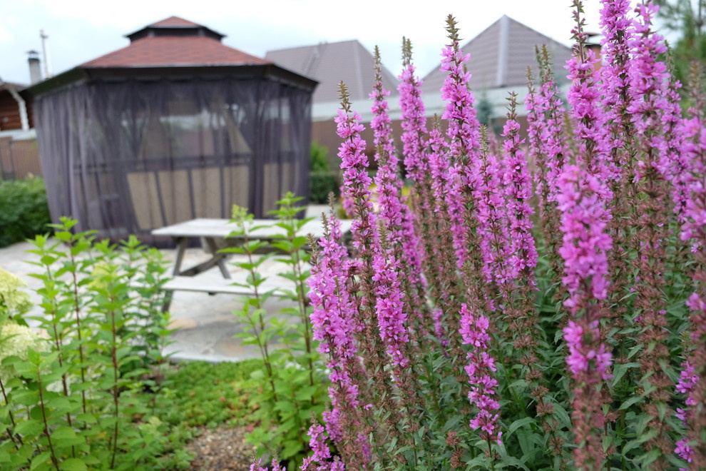 Дом под открытым небом