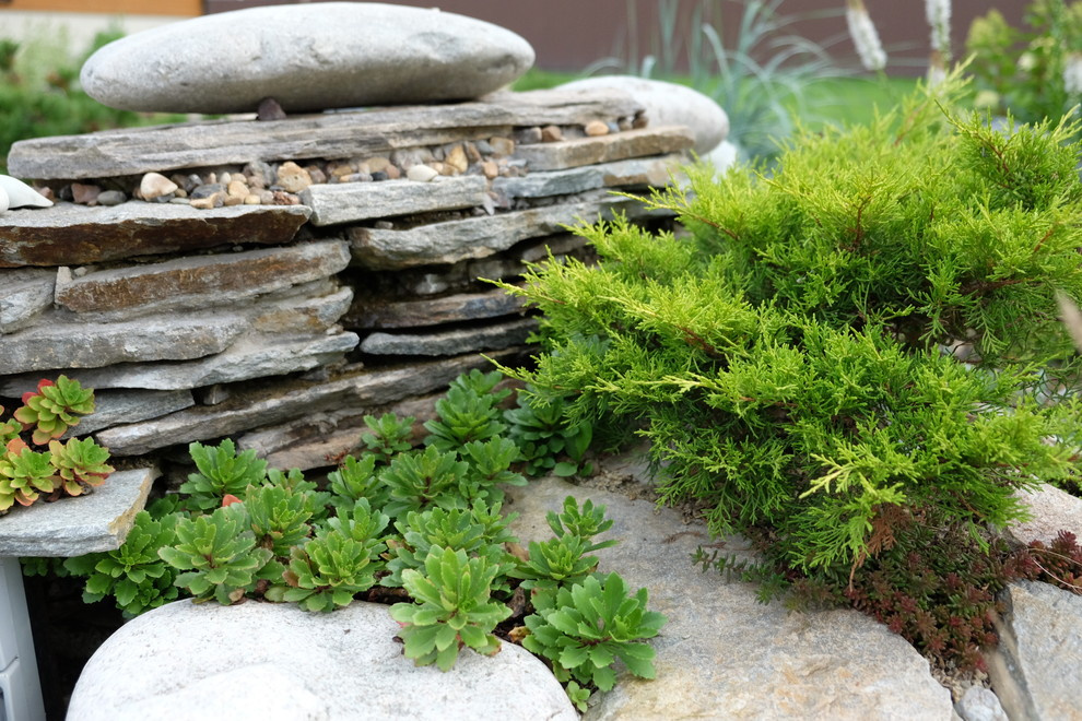 Дом под открытым небом