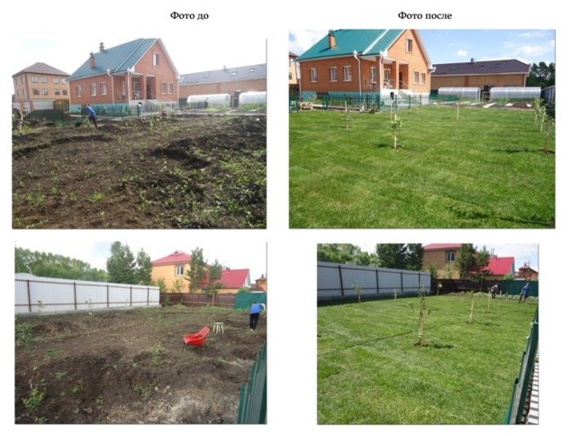 Озеленение