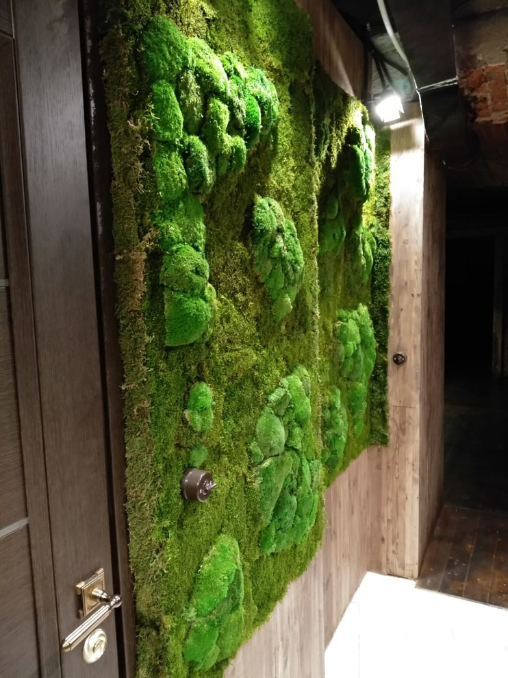 Фитокартины из мха