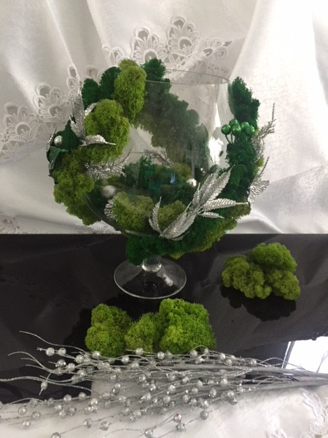 Стабилизированный мох