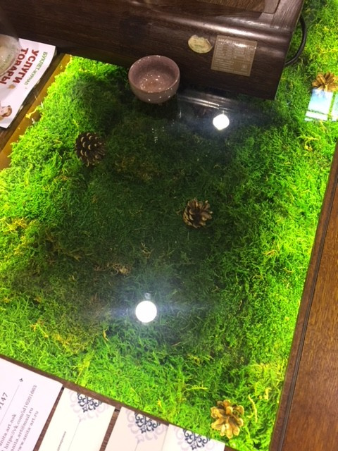 Стабилизированный мох