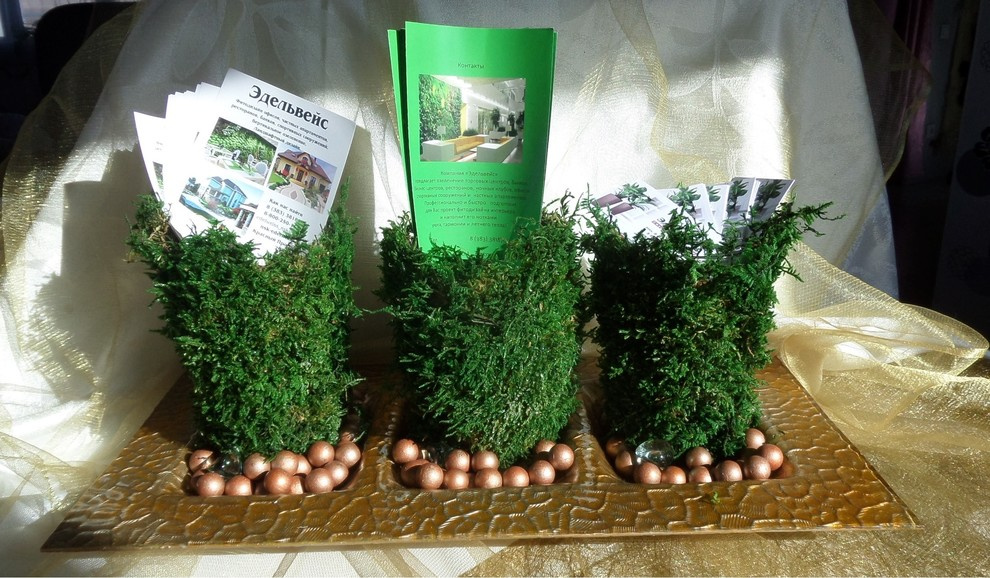 Стабилизированный мох