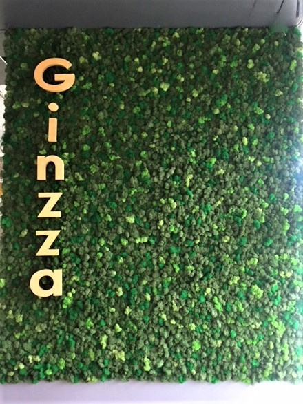 Стабилизированный мох