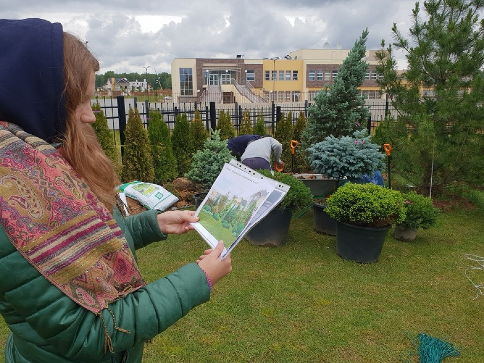 Хвойный сад в Новых Вешках.