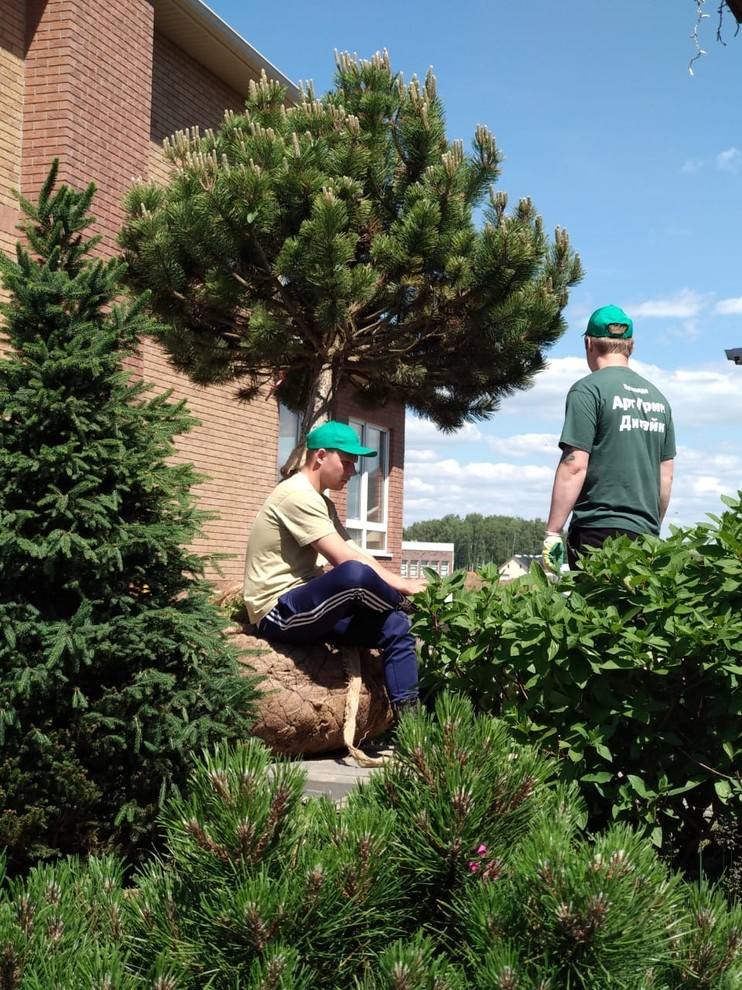 Хвойный сад в Новых Вешках.