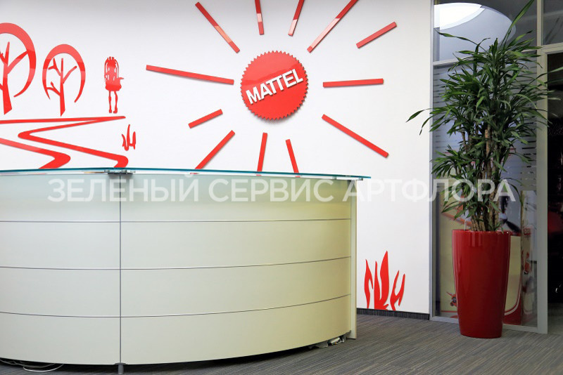 Озеленение офиса Маттел