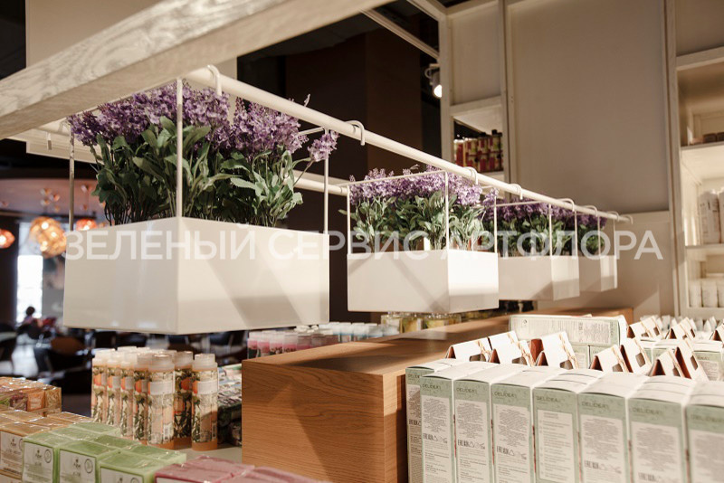 Озеленение ресторанов Eataly
