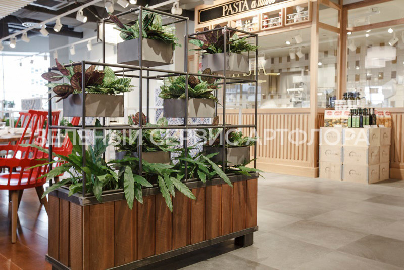 Озеленение ресторанов Eataly