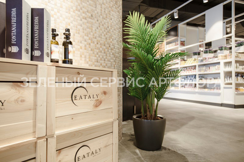 Озеленение ресторанов Eataly