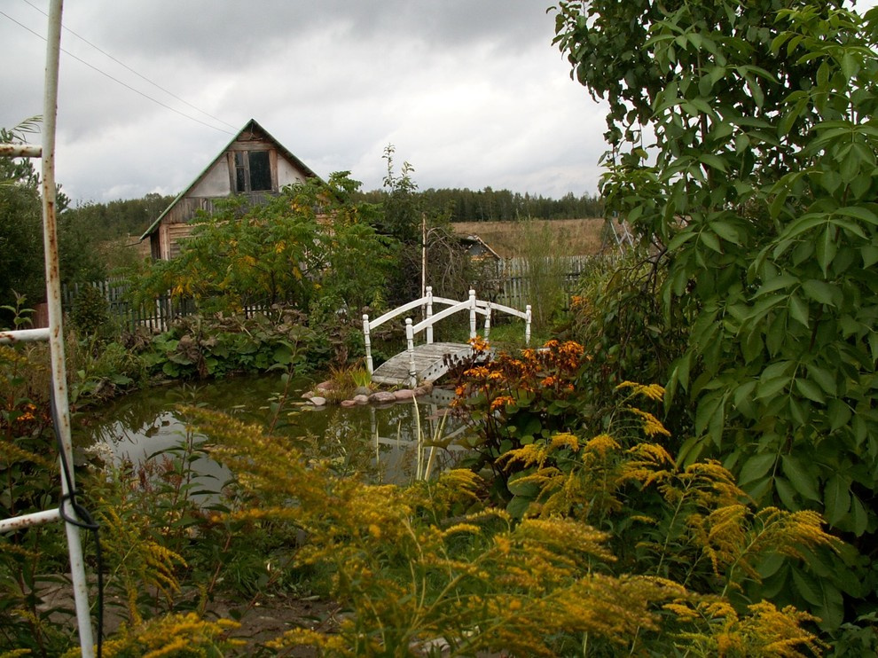 Тропинка в прошлое