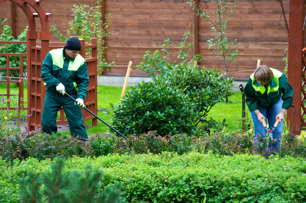 Примеры наших работ