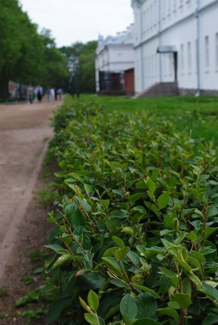 Валаам...Земля -загадка ..и большая наша любовь