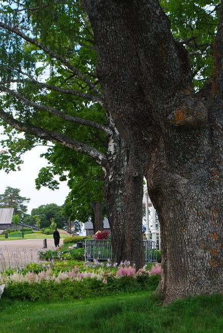 Валаам...Земля -загадка ..и большая наша любовь