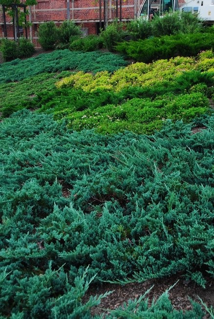 Валаам...Земля -загадка ..и большая наша любовь