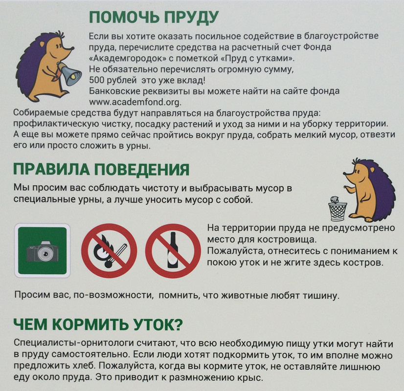 Озеро на Золотодолинской