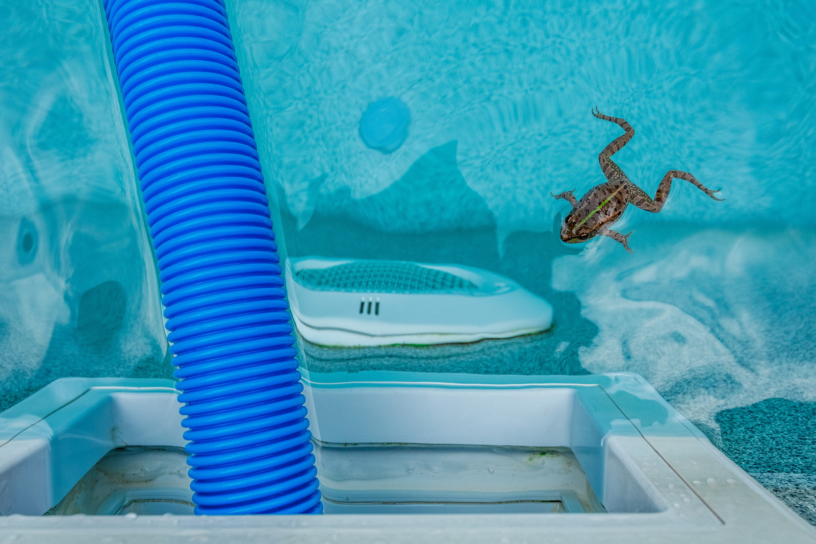 Бассейн на даче