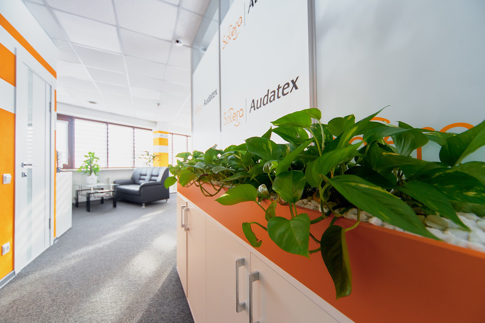 Современный офис для компании Solera_Audatex, 70м2