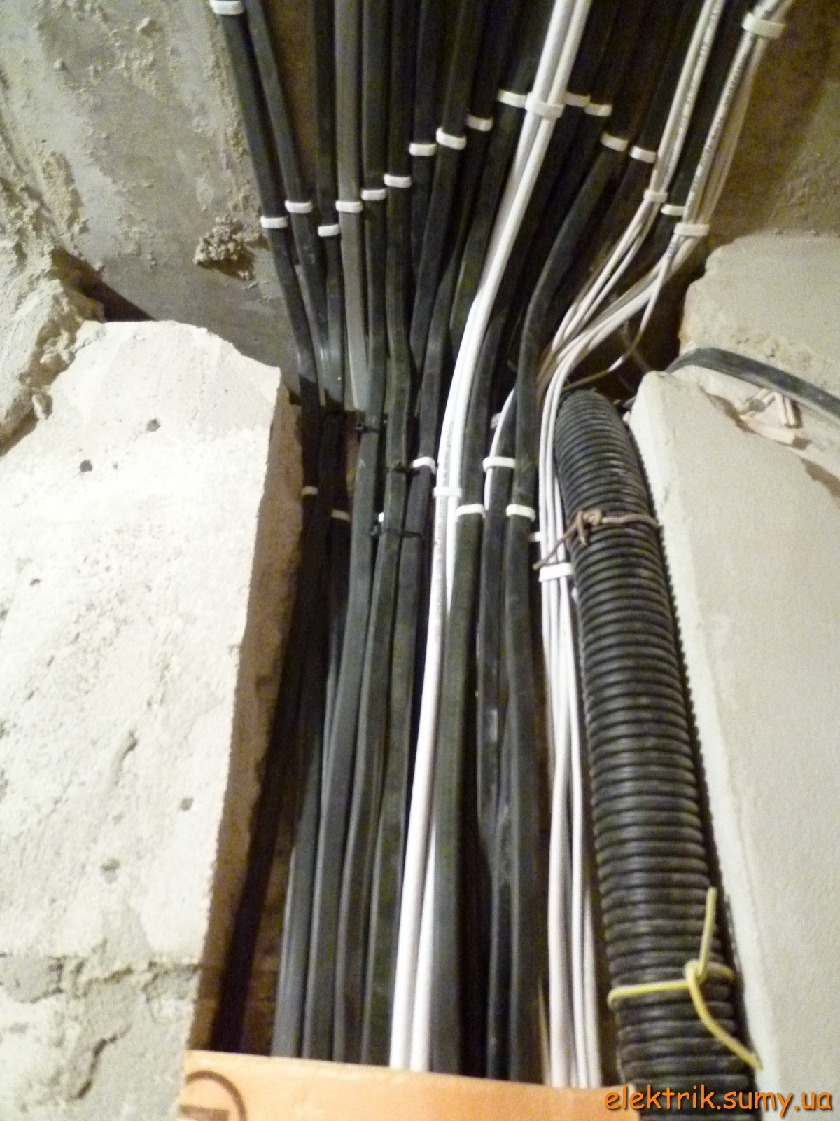 Обложка проекта: Харьковская 37