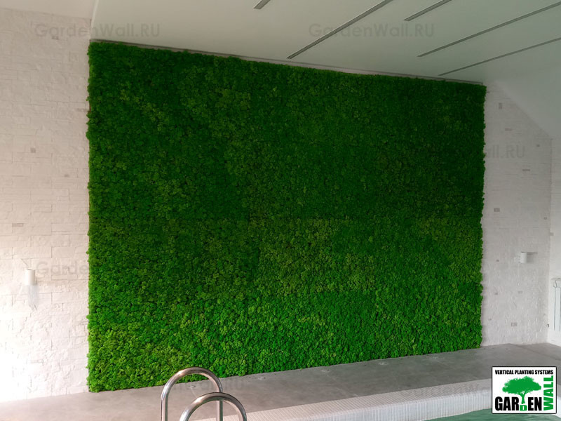 Вертикальное озеленение стабилизированным мхом в частном доме