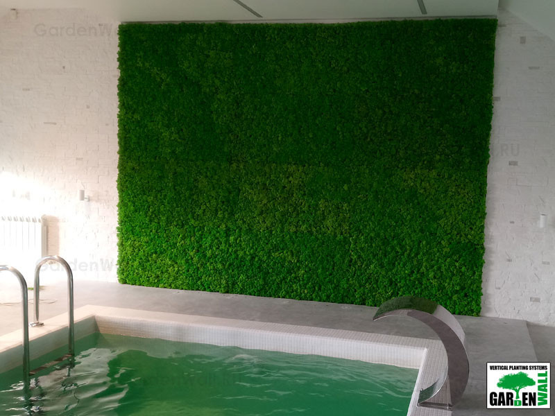 Вертикальное озеленение стабилизированным мхом в частном доме