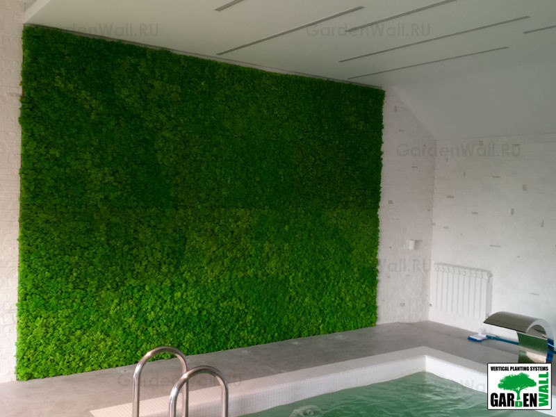 Вертикальное озеленение стабилизированным мхом в частном доме