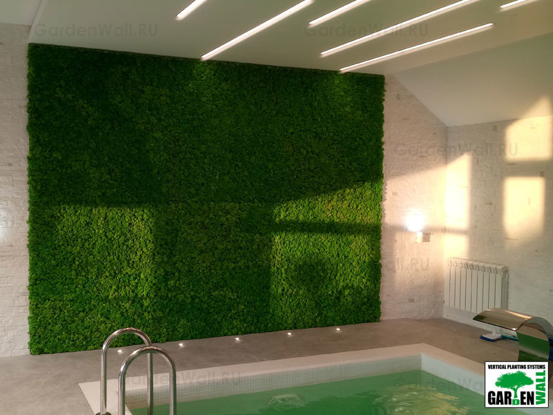 Вертикальное озеленение стабилизированным мхом в частном доме