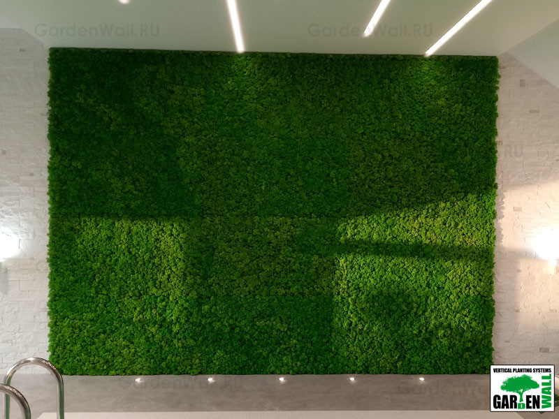 Вертикальное озеленение стабилизированным мхом в частном доме