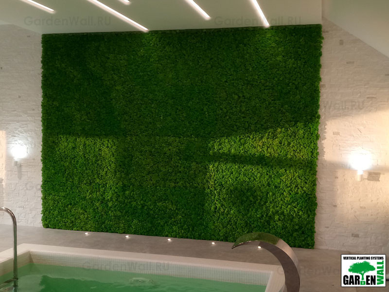 Вертикальное озеленение стабилизированным мхом в частном доме
