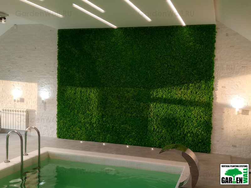 Вертикальное озеленение стабилизированным мхом в частном доме