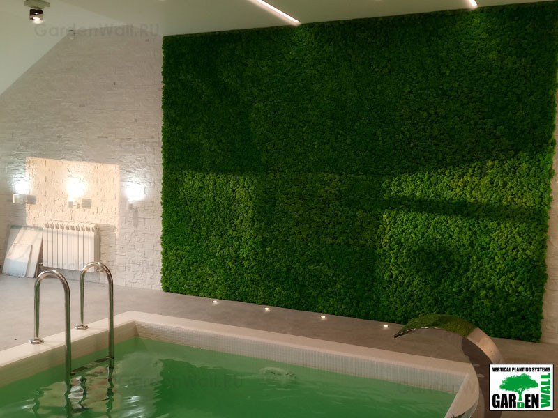 Вертикальное озеленение стабилизированным мхом в частном доме