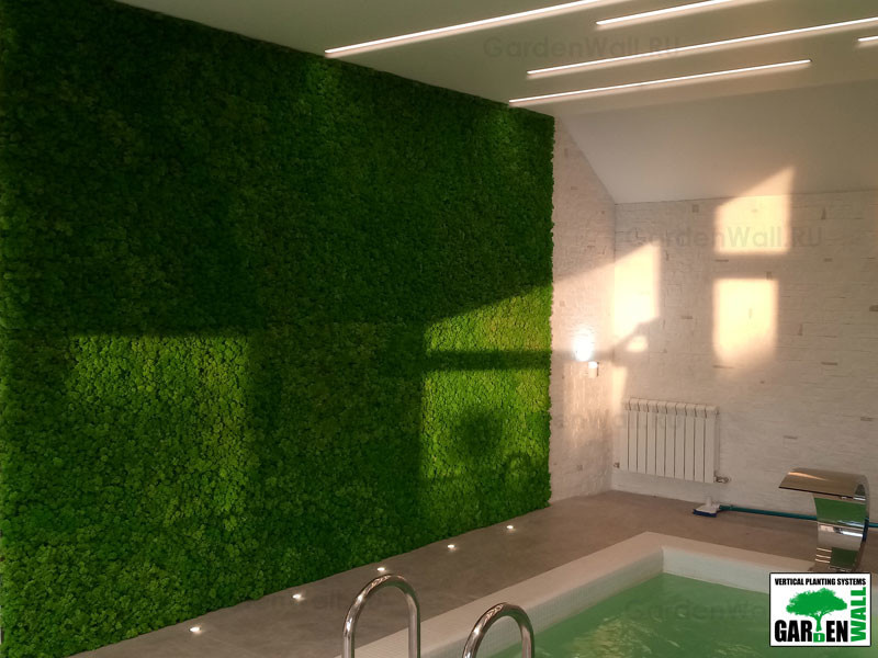 Вертикальное озеленение стабилизированным мхом в частном доме