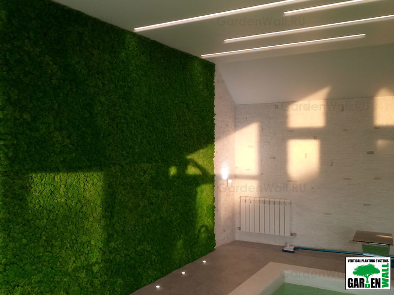 Вертикальное озеленение стабилизированным мхом в частном доме