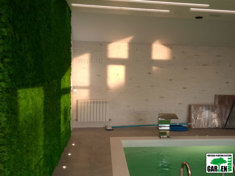 Вертикальное озеленение стабилизированным мхом в частном доме