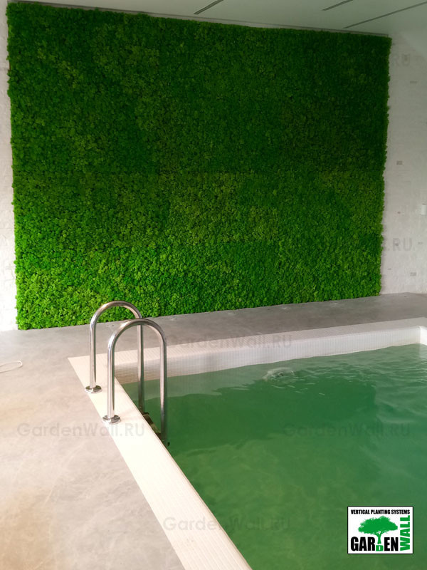 Обложка проекта: Вертикальное озеленение стабилизированным мхом в частном доме