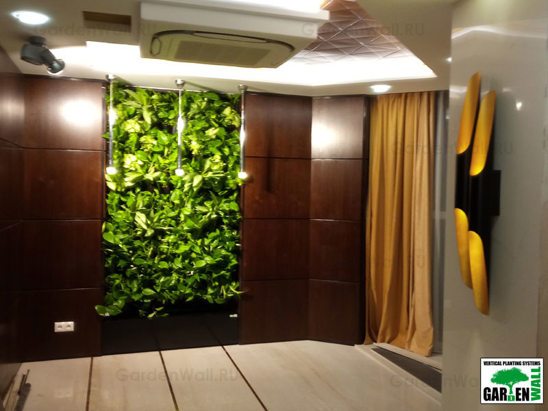 Вертикальное озеленение живыми растениями в кабинете