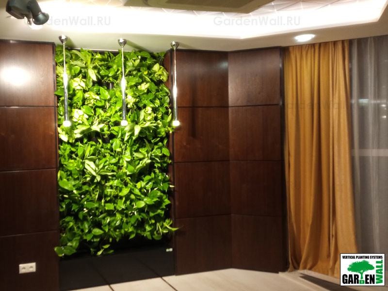 Вертикальное озеленение живыми растениями в кабинете