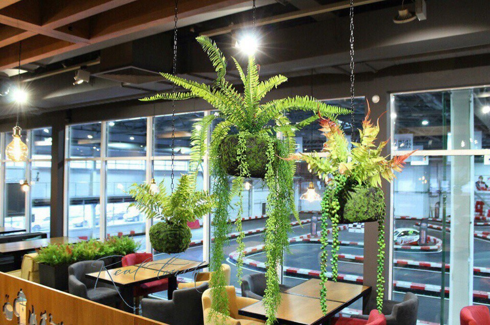 Интерьерные композиции