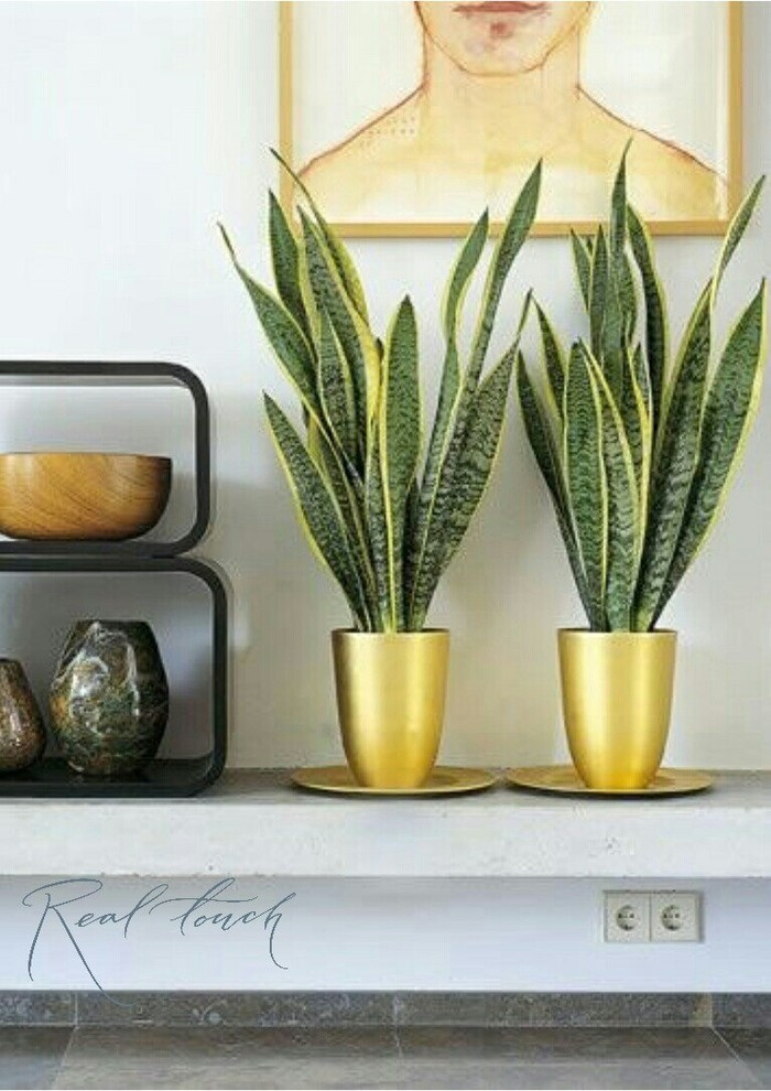 Интерьерные композиции