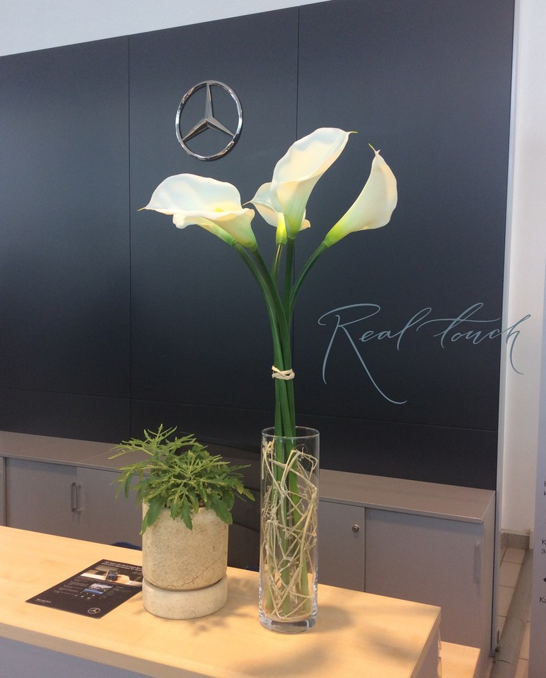 Интерьерные композиции