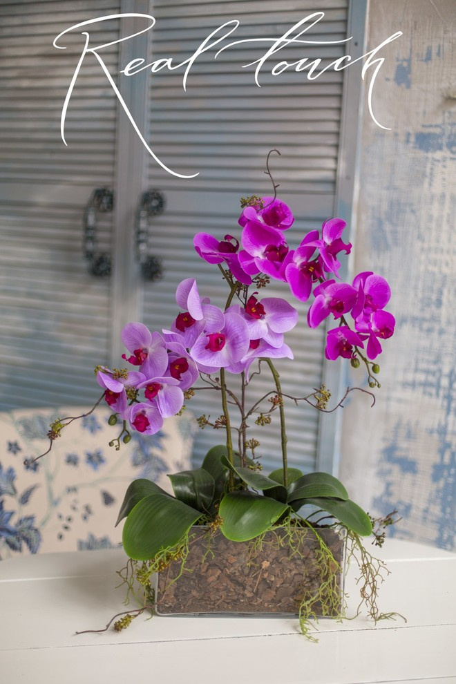 Интерьерные композиции